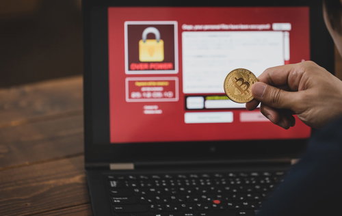 韓国の菜の花畑と満開の桜並木