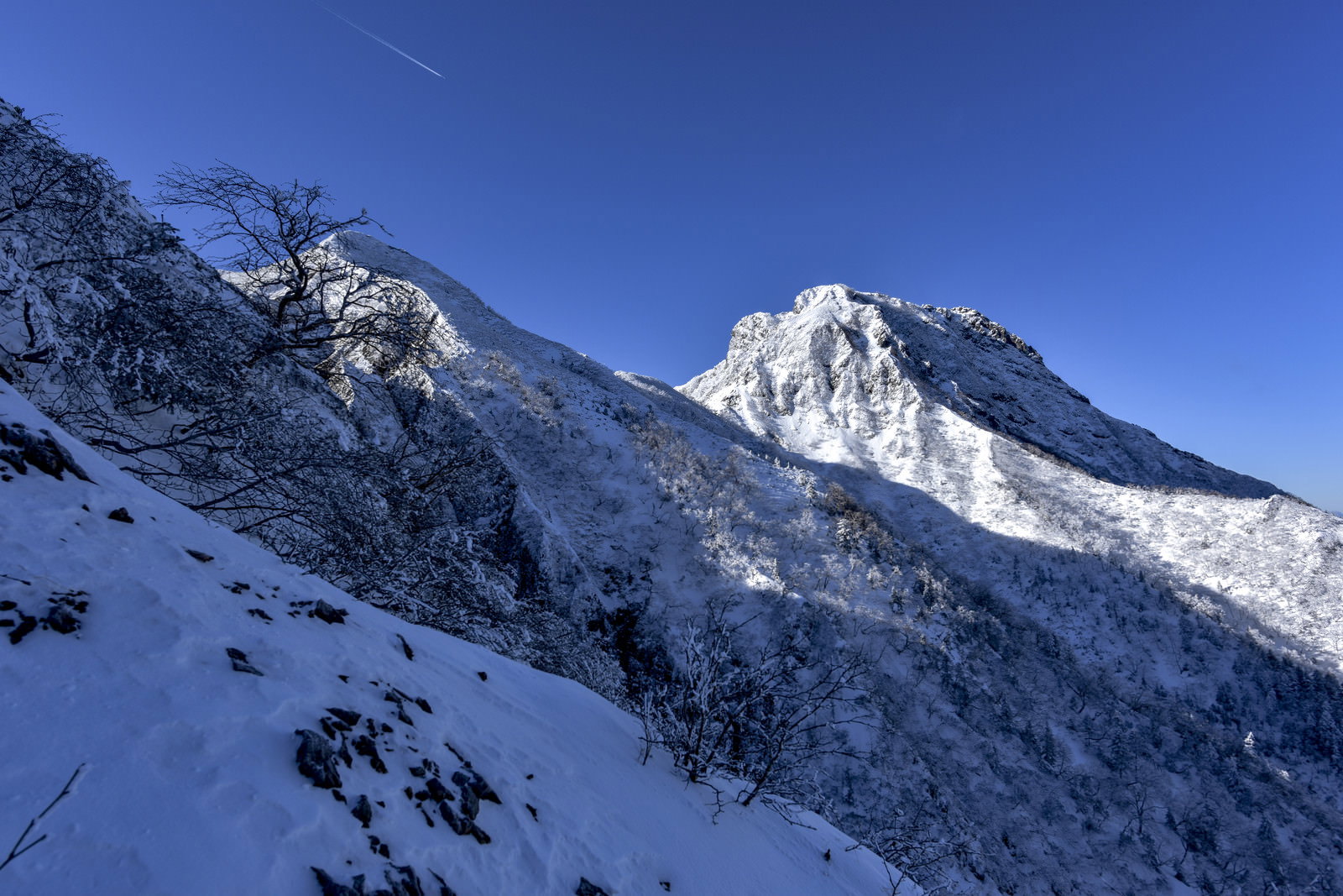 冬の文三郎尾根下部から見上げる雪化粧した阿弥陀岳