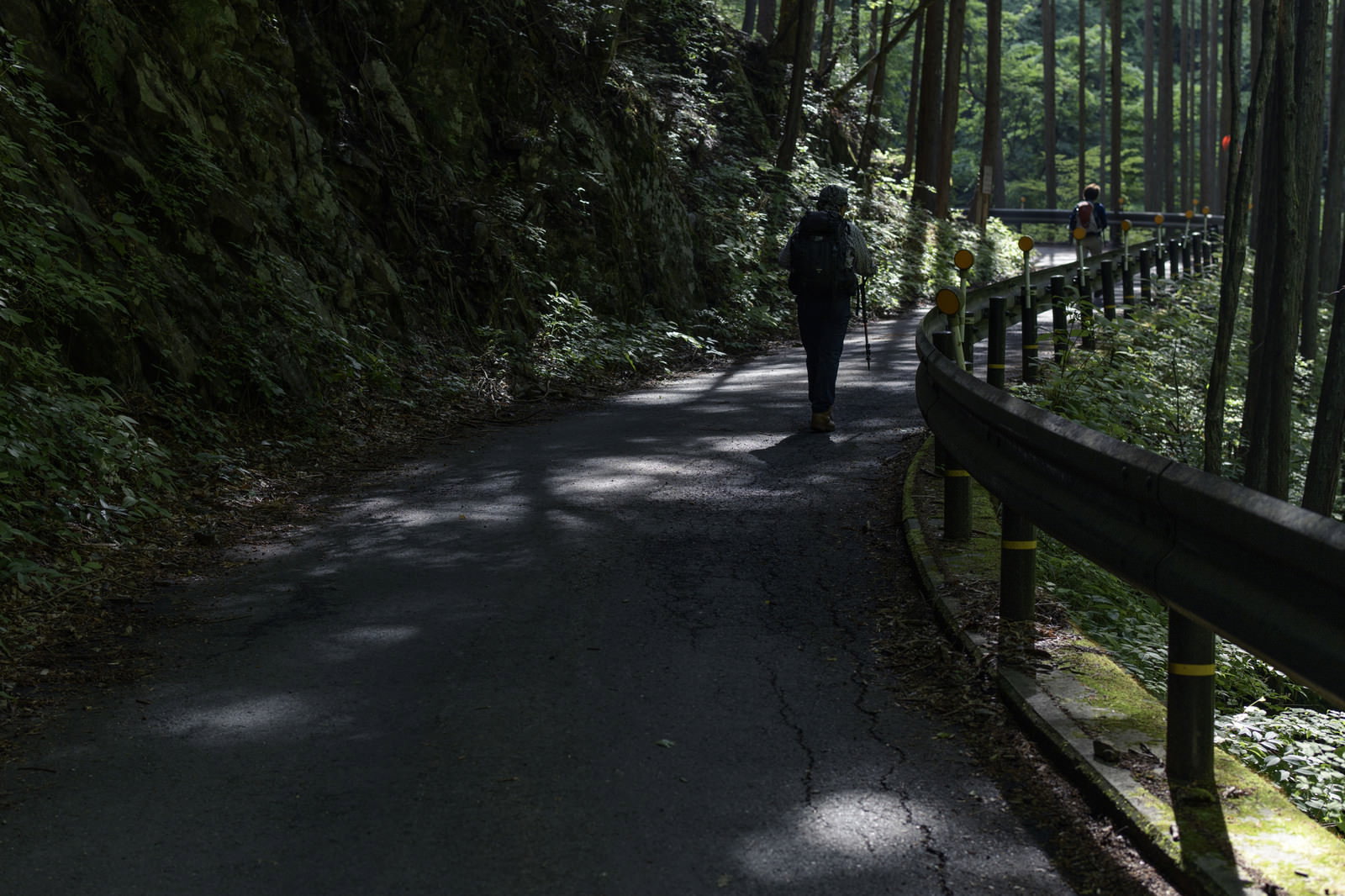 川苔山へ向かう林道を歩く登山者の様子