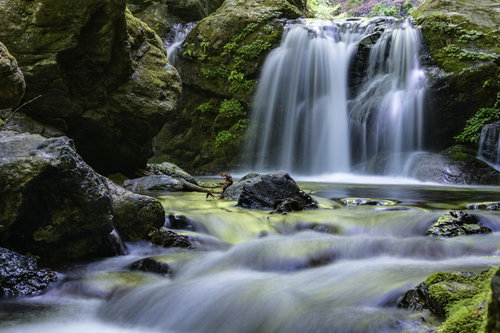 川苔山の上流を流れる渓流と滝、苔むした岩場の景観