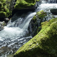 川苔山の深い谷間を流れる渓流の滝の写真