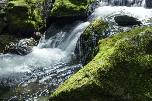 川苔山の深い谷間を流れる渓流の滝