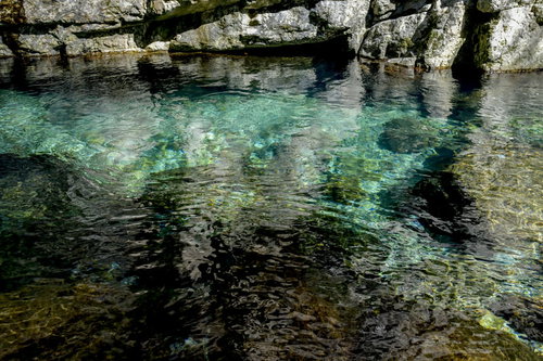 透明度の高いシシ淵を流れる清流（大杉谷・三重県）