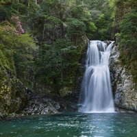 三重県大杉谷の堂倉滝、日本三大渓谷の岩肌を流れる水の写真