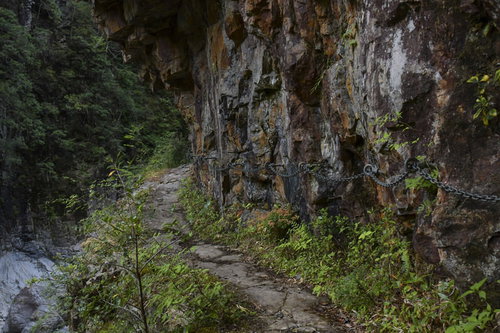 鎖の手すりが整備された大杉谷登山道の崖沿い