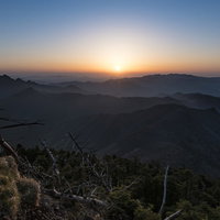 大台ヶ原から登る朝日と立ち枯れた木々のシルエットの写真
