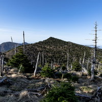 大峰山弥山小屋から見る立ち枯れの森と八経ヶ岳の登山風景の写真