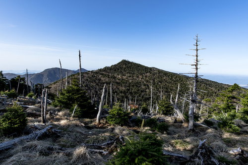 大峰山弥山小屋から見る立ち枯れの森と八経ヶ岳の登山風景