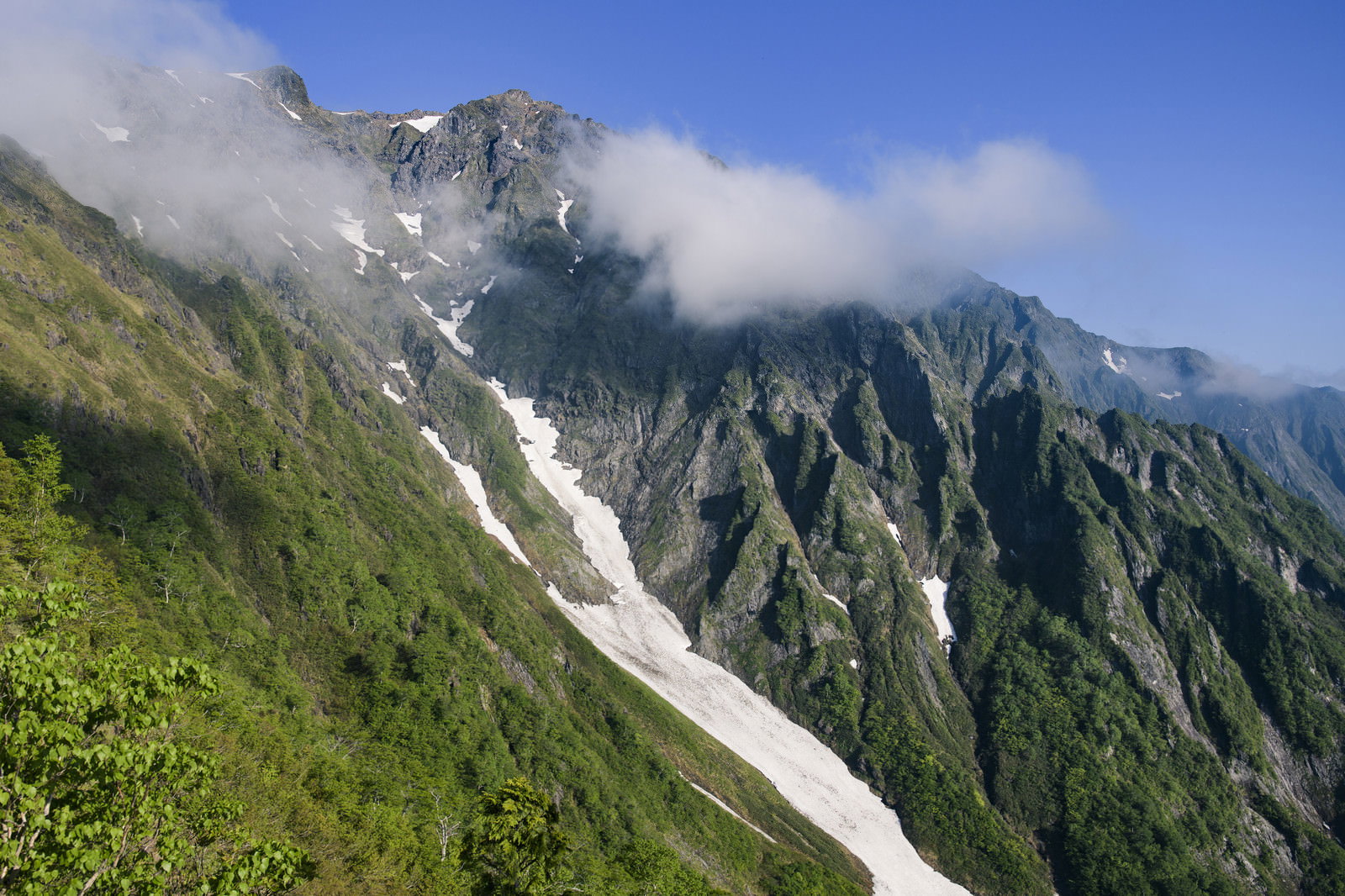 西黒尾根から撮影した春の谷川岳山頂、残雪と新緑の山々