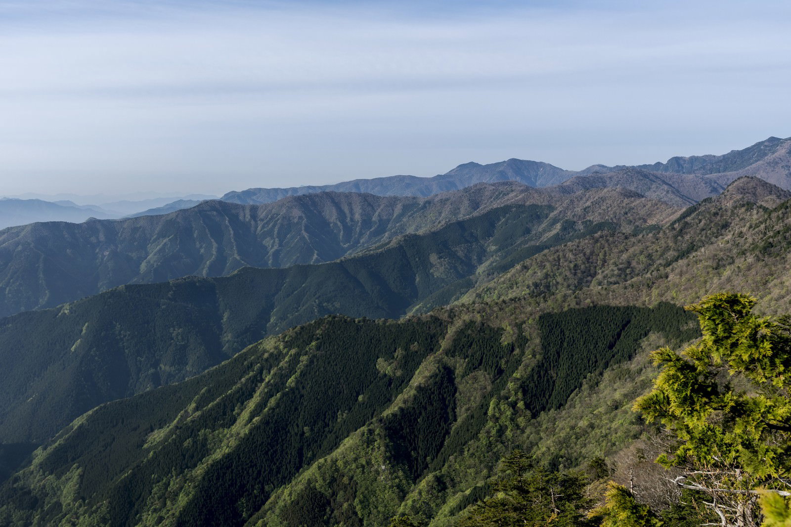 大峰奥駈道から見た大峰山と連なる山々の雄大な景色