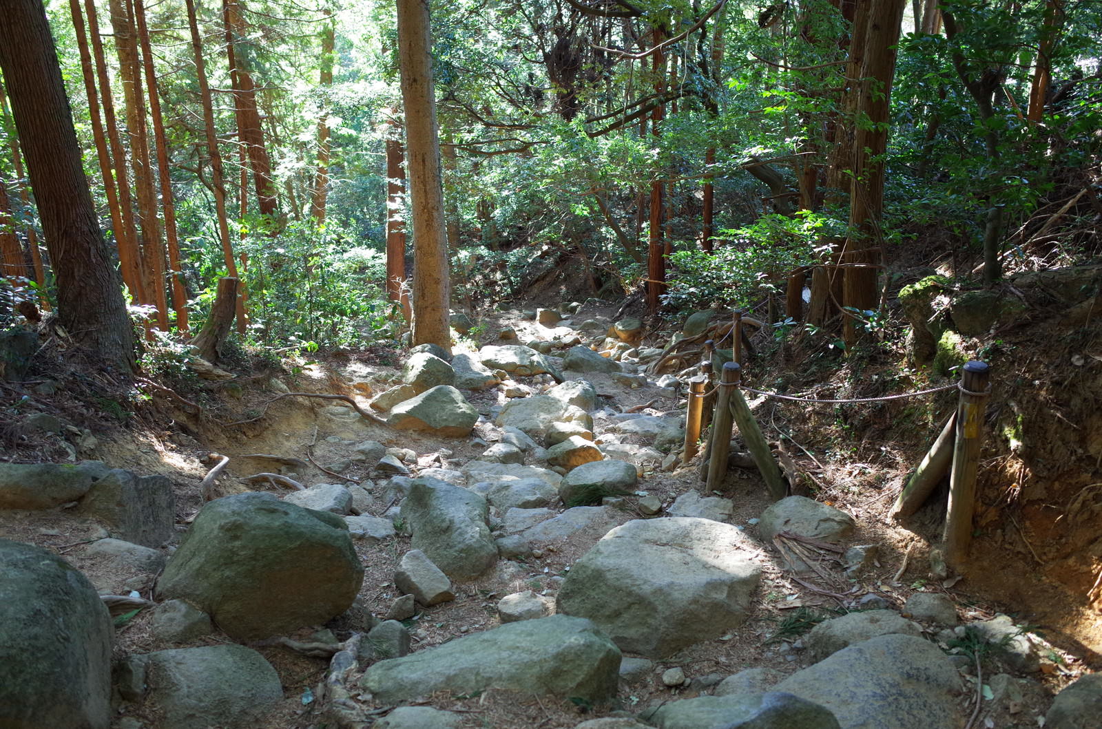 筑波山の森林に続く石段の登山道に木漏れ日が差し込む様子