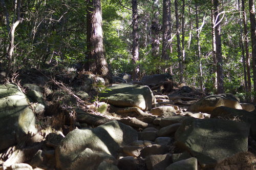 日本百名山・筑波山の登山道で木漏れ日が差し込む