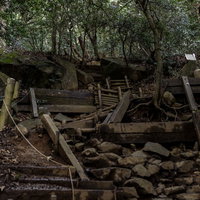 薄暗い筑cave山の登山道、倒木や岩が散乱する険しい山道の写真