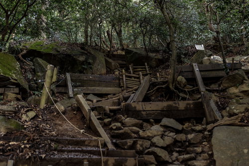 薄暗い筑cave山の登山道、倒木や岩が散乱する険しい山道