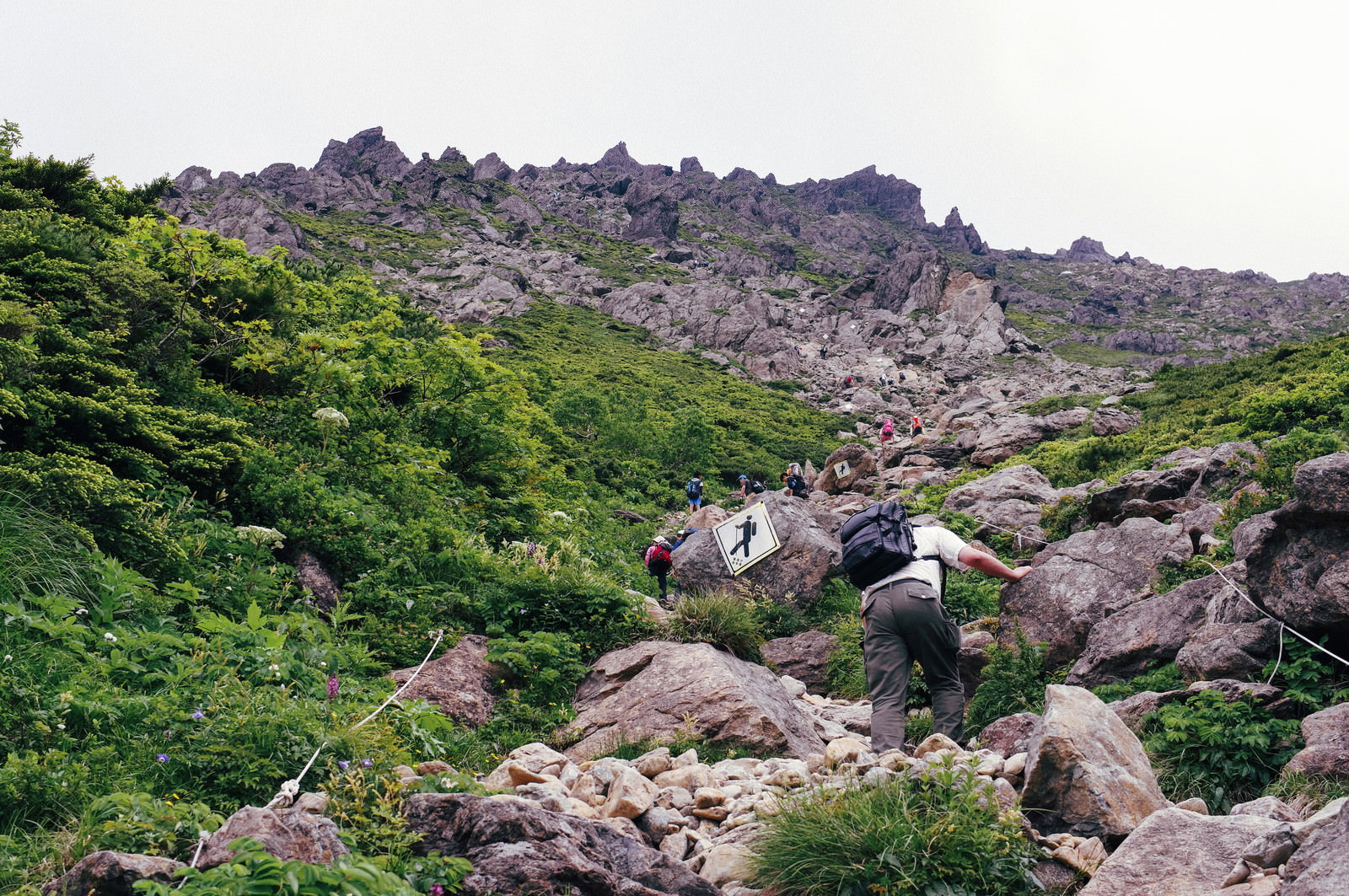 険しい岩場が続く早池峰山の登山道、緑の植物が岩の隙間に生える