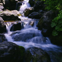 日本百名山・早池峰山の遠野山地を流れる渓流の写真