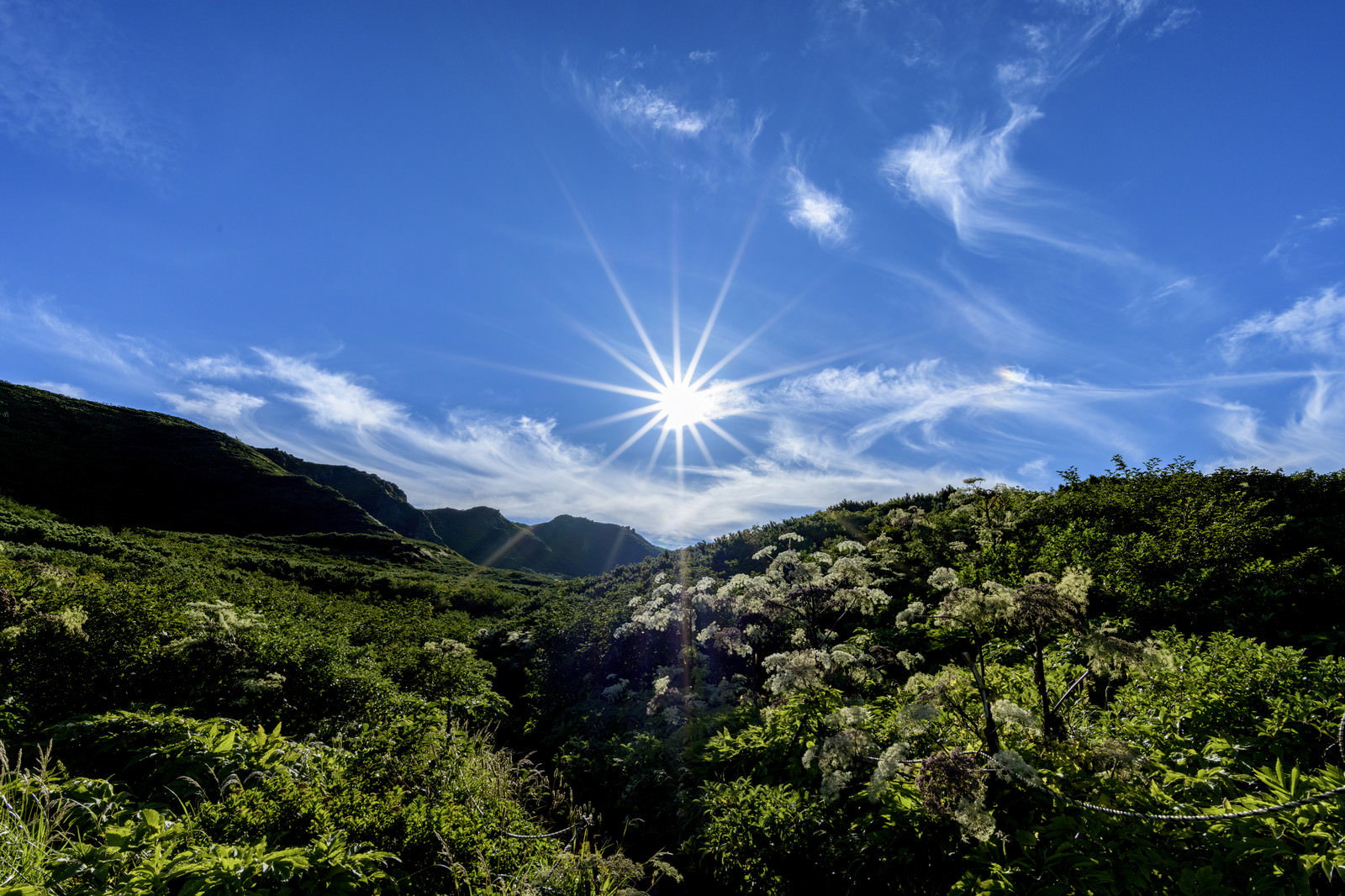 岩手山不動平から見た光芒の太陽と青空、緑の茂みと山々の稜線