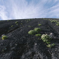 岩手山の火山斜面に広がる雲と青空、黒い火山岩と緑の低木の写真