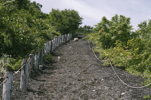 焼け走り岩手山の登山道沿いに広がる新緑の景色