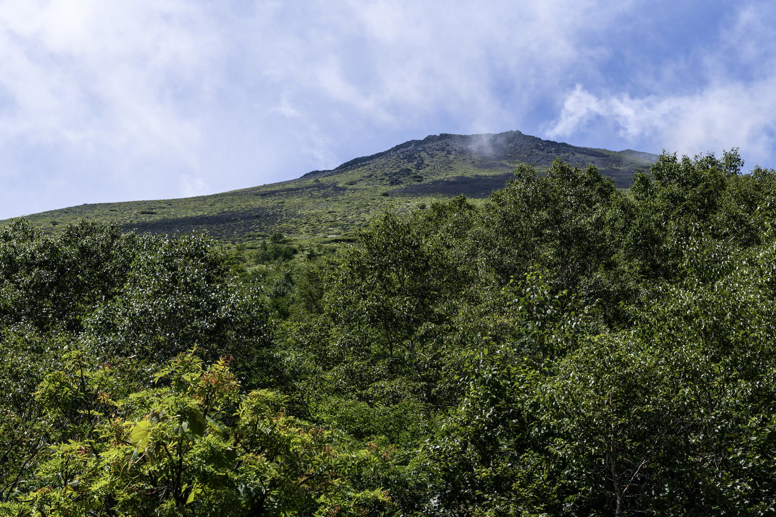 青空の下、緑豊かな森林に覆われた岩手山の山肌