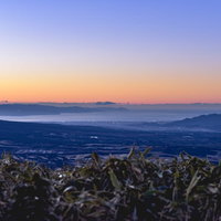 竜ヶ岳から見る夜明けの駿河湾沿いの街並みの写真