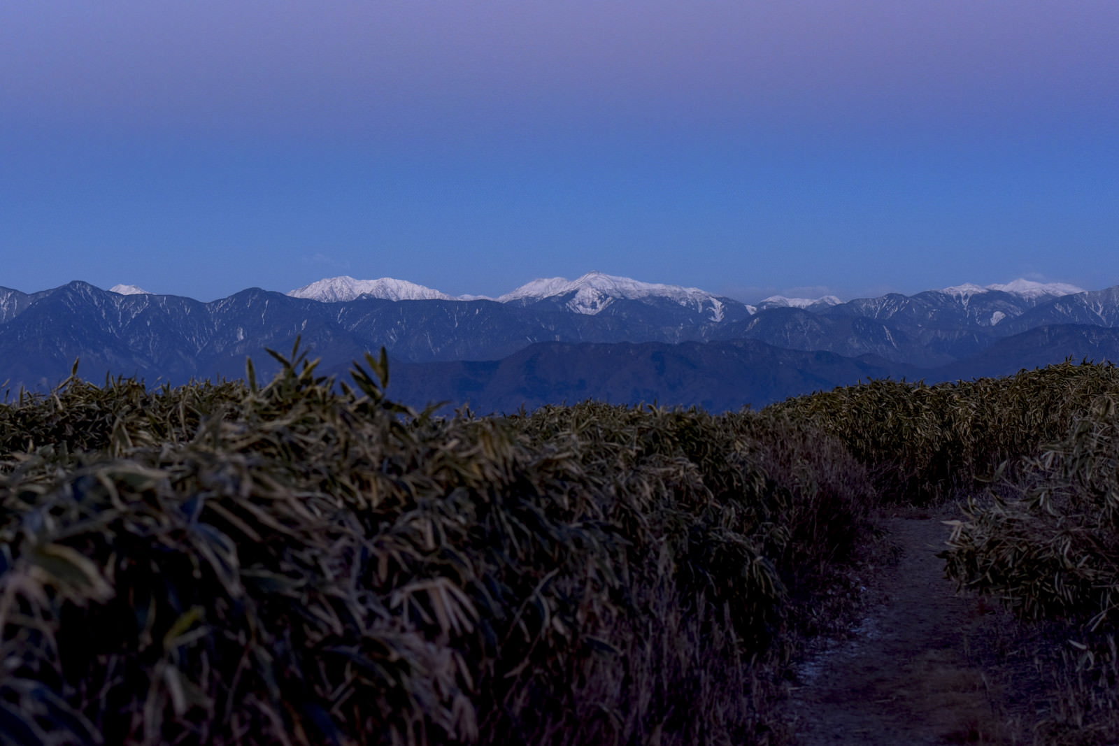 竜ヶ岳から望む朝焼けの白鳳三山と雪化粧した山々の風景