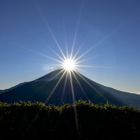 夏の北アルプス、残雪と緑の険しい稜線の写真