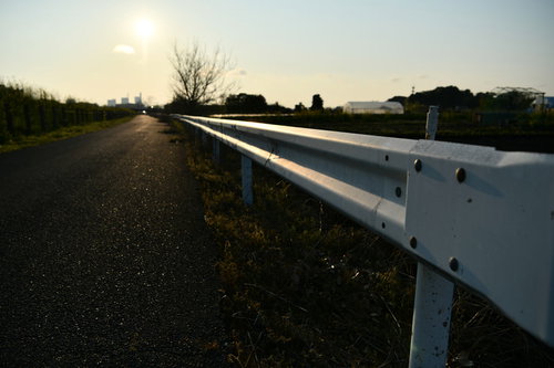 午後の陽光を反射する道路のガードレールと路面