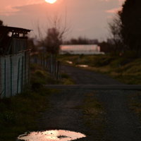 夕方の水たまりに映る夕日の写真