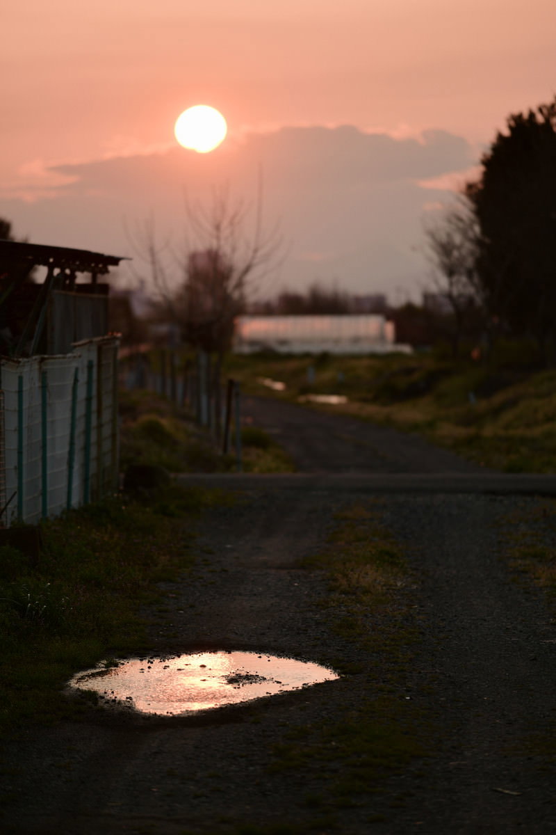 砂利道の水たまりに映る夕日