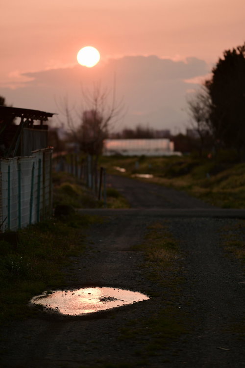 夕方の農道に映る夕日と水たまり、オレンジ色に染まった空と山々のシルエット