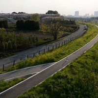 夕日に染まる芝川河川敷のサイクリングロードの写真