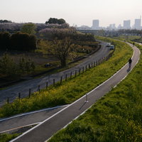 夕焼けに染まる河川敷の道を歩く人々の帰り道の写真