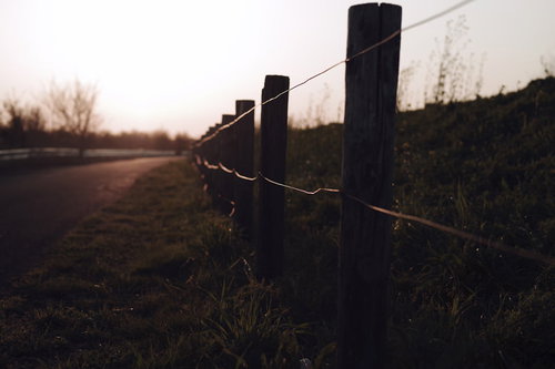 朝日に浮かび上がる鉄線の柵のシルエット 朝焼け