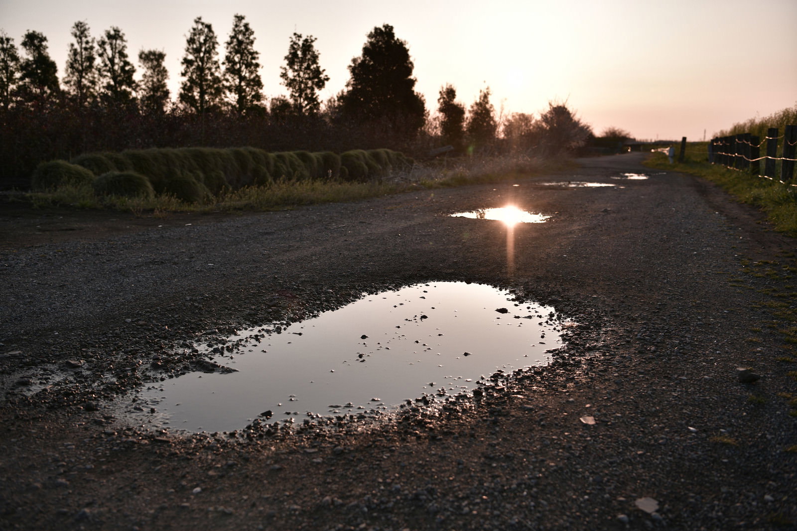 朝日の光を反射する砂利道の水たまり、周囲に砂利が散らばる舗装道路