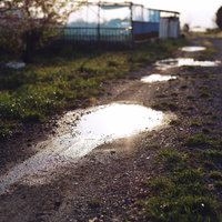 砂利道の轍にできた雨水の水溜りの写真