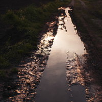 夕暮れの未舗装道路に残る轍の水溜りと空の反射の写真