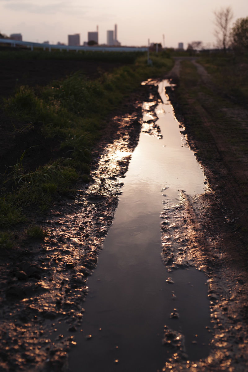 未舗装道路の轍に溜まった水が夕暮れの空を反射している様子