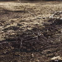 畑の脇に捨てられた剪定済みの枝と土の廃材の写真