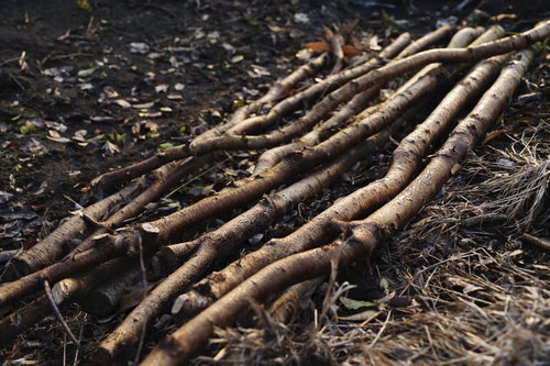 畑の脇に積み重ねられた木の枝と廃木、丸太の積み重ね