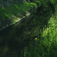 深緑に囲まれた静かな用水路の写真