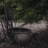 農道わきの草むらで雨水をためつづける放置された桶の写真