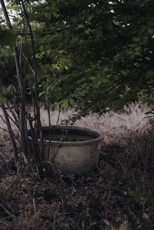 農道わきの草むらで雨水をためつづける放置された桶