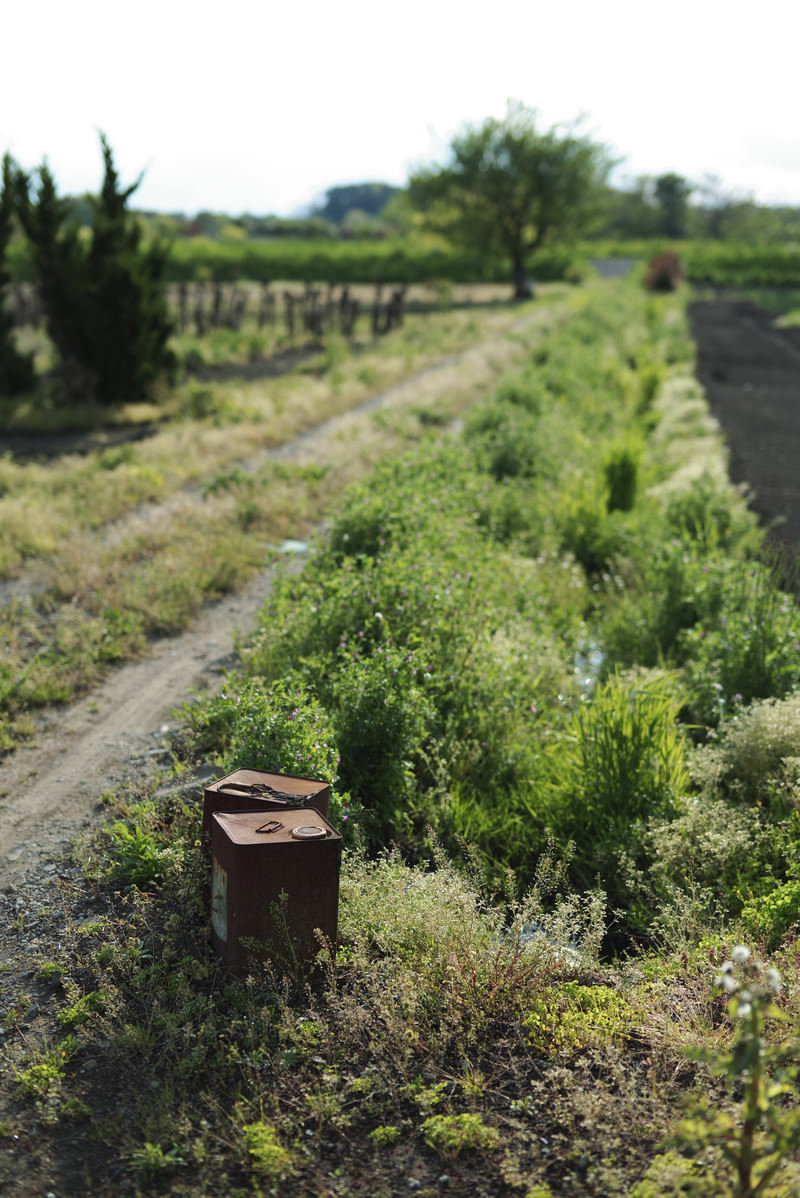 草むらの中に置かれた茶色い一斗缶と緑の植物が写る農道の風景