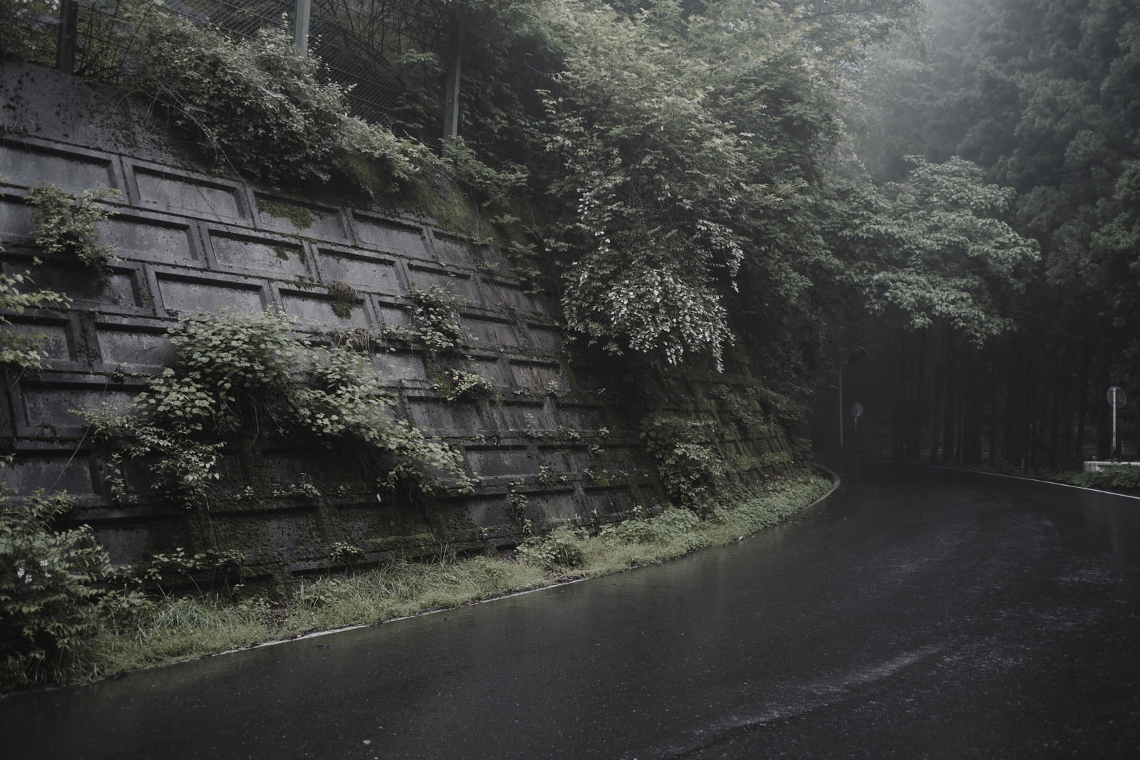 石垣のある林道を森の緑が包み込む静寂な自然の風景