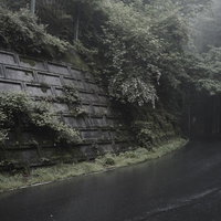 森に包まれゆく林道の一本道を進む車道の風景の写真
