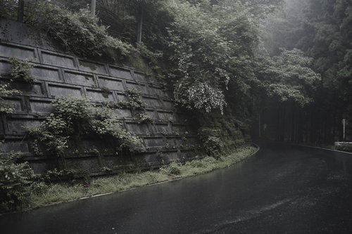 森に包まれゆく林道の一本道を進む車道の風景