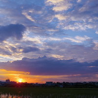 水田に映る夕焼けの空と水面の風景の写真