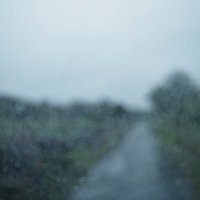 車窓からぼんやりとみる雨の中の一筋のか細い道の写真