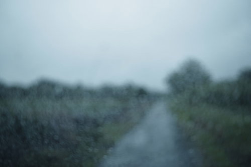 車窓からぼんやりとみる雨の中の一筋のか細い道